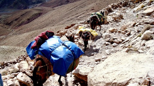 trek au Maroc - le ravitaillement pendant la montée au M'Goun