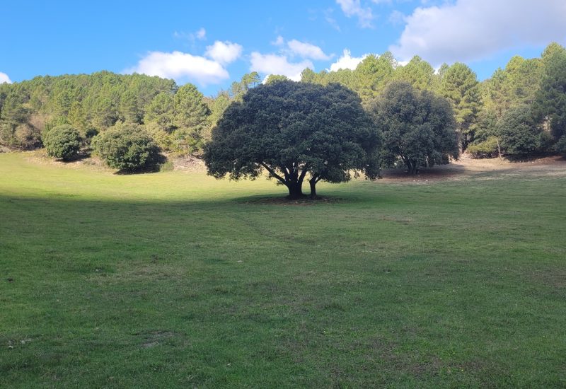 randonnee-corse-sud-mer-montagne-J1A