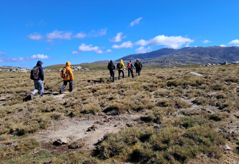 randonnee-corse-sud-mer-montagne-J4