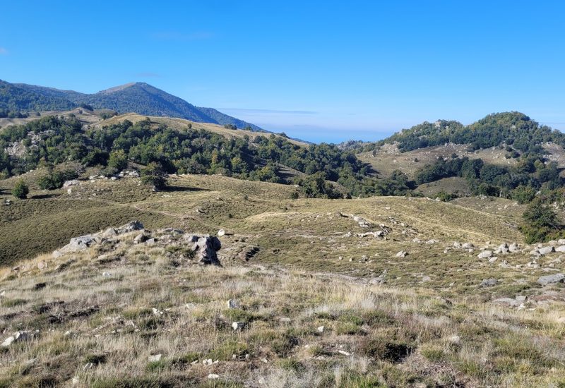 randonnee-corse-sud-mer-montagne-J6A