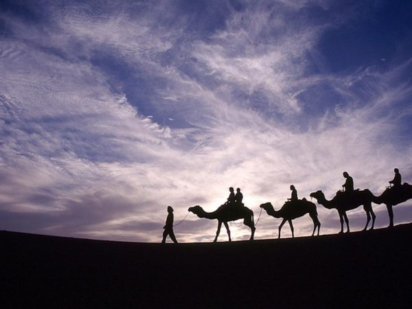 Le désert marocain : les dunes de Chegaga